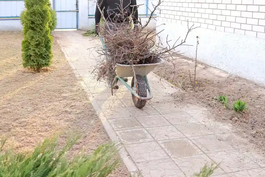 Expert Yard Debris Removal Atlanta, GA Expert Yard Debris Removal Atlanta, GA