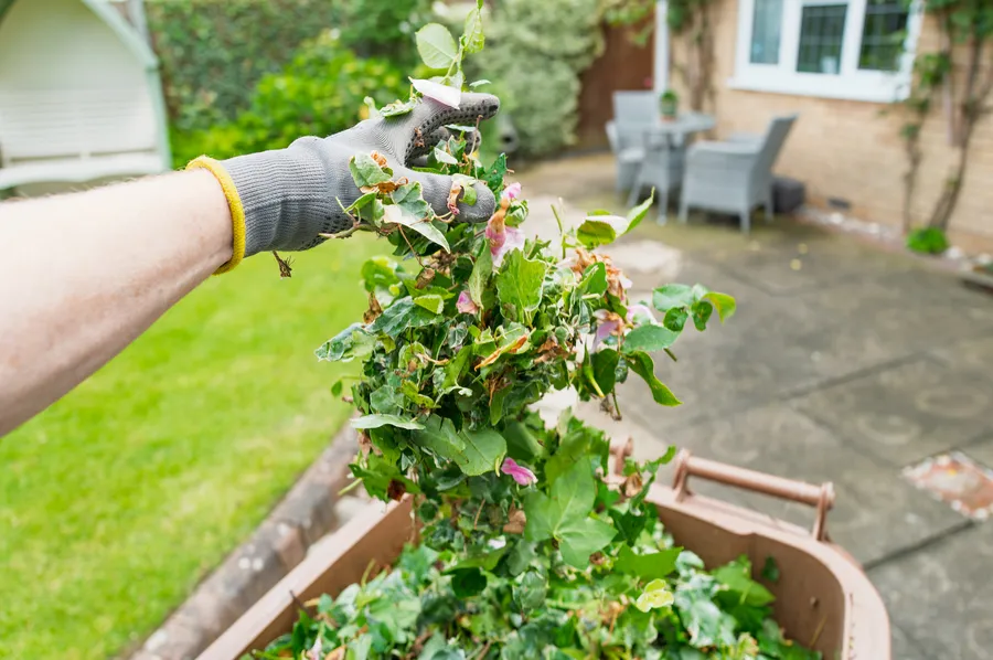 The Role Of Debris Removal In Landscape Maintenance Atlanta, GA